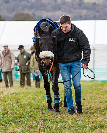 Race 2 - PPORA Club members Veteran Horse  (18 of 119)