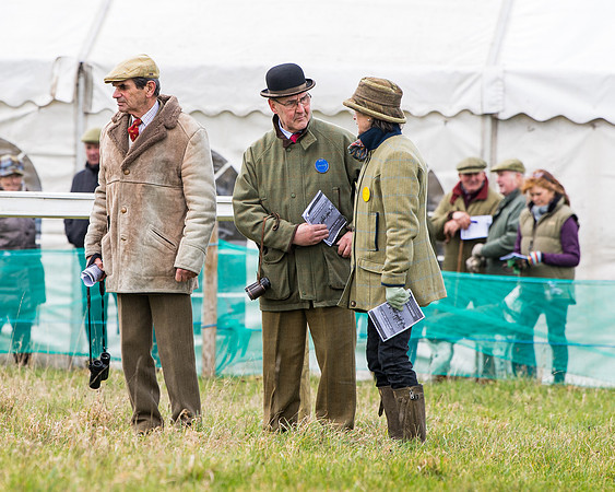 Race 2 - PPORA Club members Veteran Horse  (19 of 119)