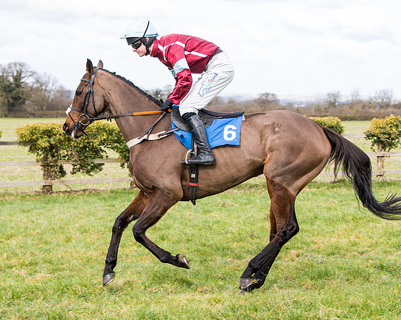 Race 2 - PPORA Club members Veteran Horse  (21 of 119)