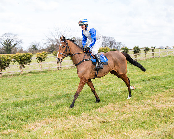 Race 2 - PPORA Club members Veteran Horse  (23 of 119)