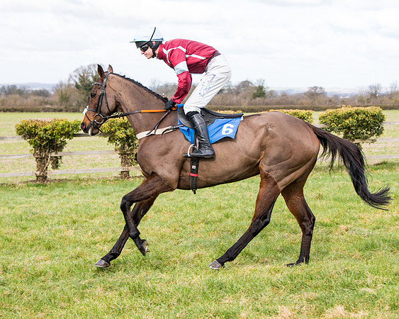 Race 2 - PPORA Club members Veteran Horse  (22 of 119)