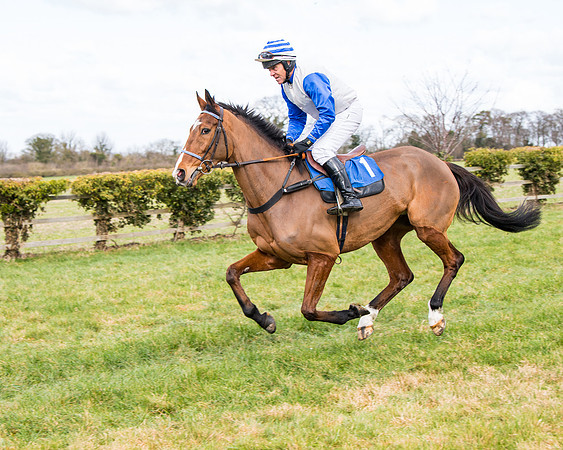 Race 2 - PPORA Club members Veteran Horse  (24 of 119)