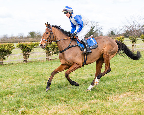Race 2 - PPORA Club members Veteran Horse  (25 of 119)