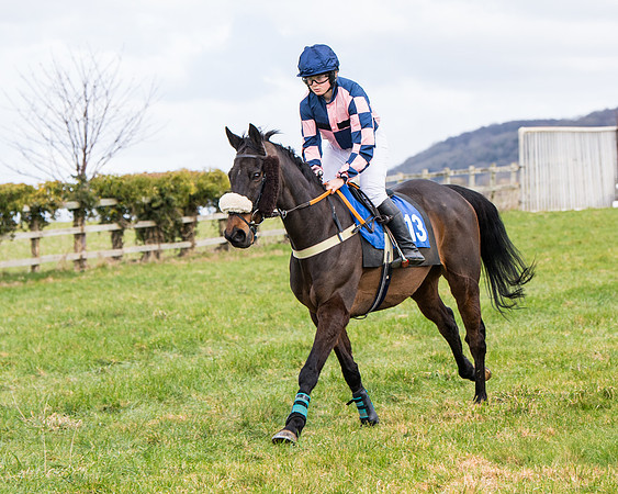 Race 2 - PPORA Club members Veteran Horse  (27 of 119)