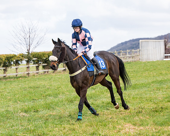 Race 2 - PPORA Club members Veteran Horse  (28 of 119)