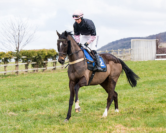 Race 2 - PPORA Club members Veteran Horse  (29 of 119)