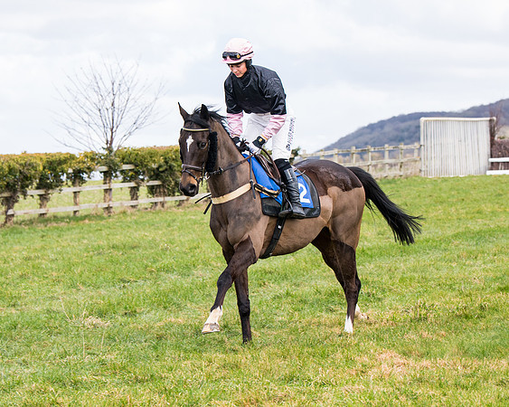 Race 2 - PPORA Club members Veteran Horse  (30 of 119)