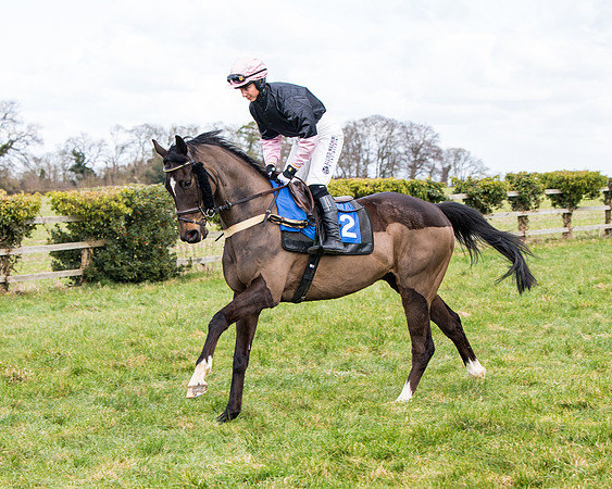 Race 2 - PPORA Club members Veteran Horse  (32 of 119)