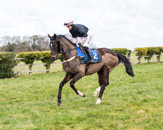 Race 2 - PPORA Club members Veteran Horse  (31 of 119)