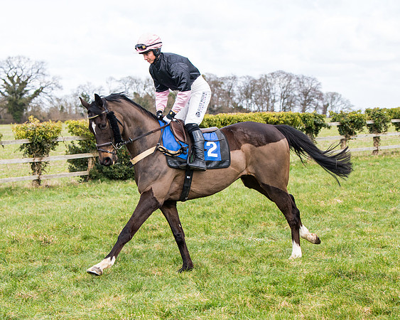 Race 2 - PPORA Club members Veteran Horse  (33 of 119)