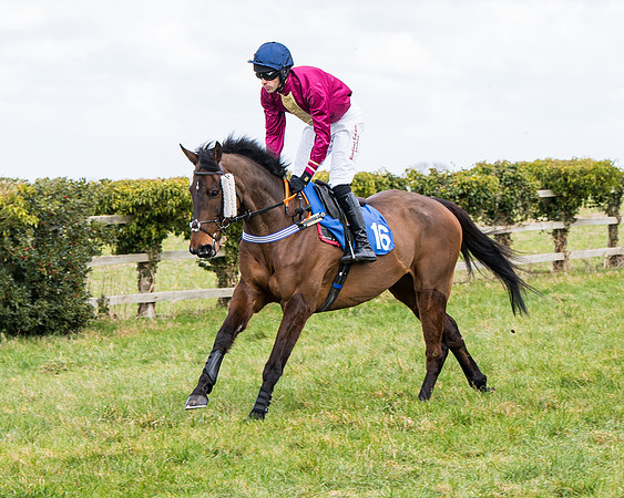 Race 2 - PPORA Club members Veteran Horse  (34 of 119)