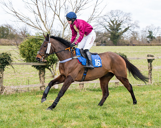 Race 2 - PPORA Club members Veteran Horse  (35 of 119)