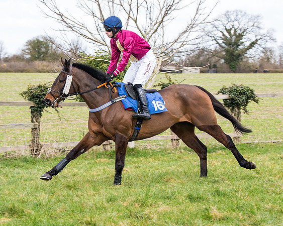 Race 2 - PPORA Club members Veteran Horse  (36 of 119)
