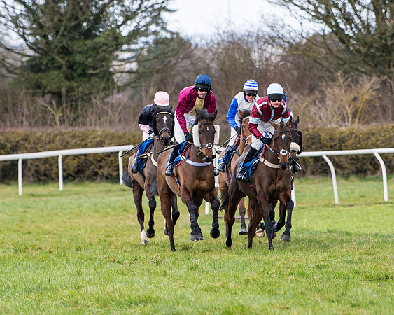 Race 2 - PPORA Club members Veteran Horse  (37 of 119)