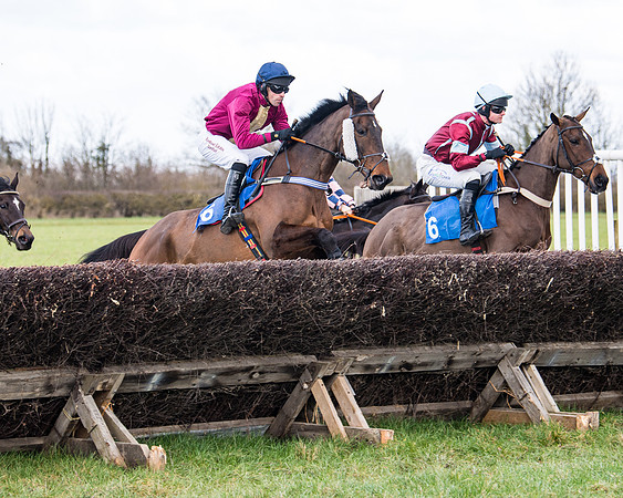 Race 2 - PPORA Club members Veteran Horse  (38 of 119)