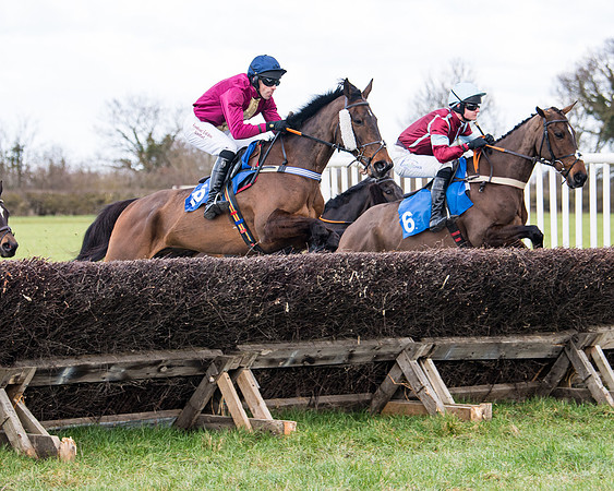 Race 2 - PPORA Club members Veteran Horse  (39 of 119)