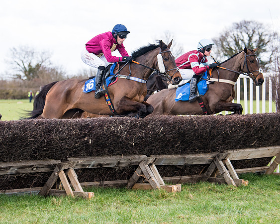 Race 2 - PPORA Club members Veteran Horse  (40 of 119)