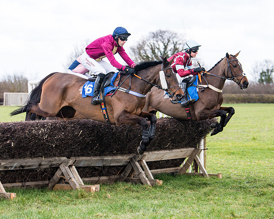 Race 2 - PPORA Club members Veteran Horse  (42 of 119)
