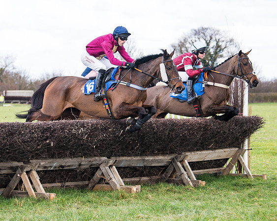 Race 2 - PPORA Club members Veteran Horse  (41 of 119)