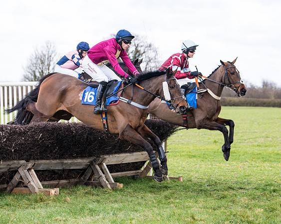Race 2 - PPORA Club members Veteran Horse  (43 of 119)