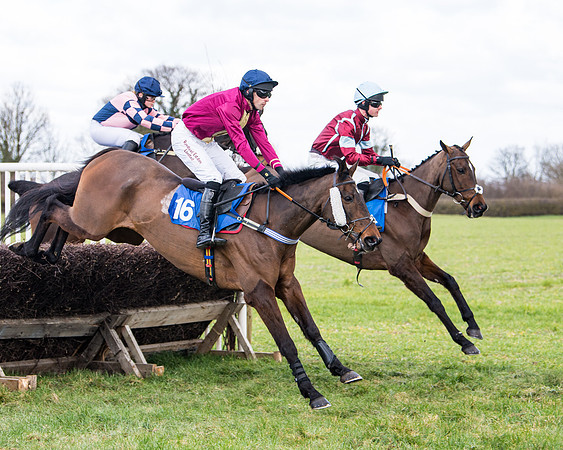 Race 2 - PPORA Club members Veteran Horse  (44 of 119)