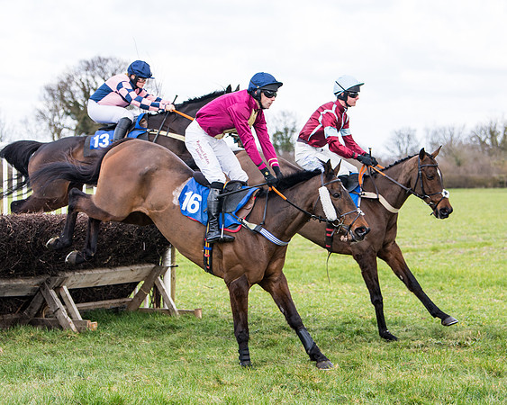 Race 2 - PPORA Club members Veteran Horse  (45 of 119)