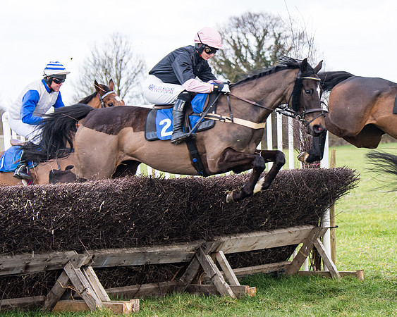 Race 2 - PPORA Club members Veteran Horse  (46 of 119)