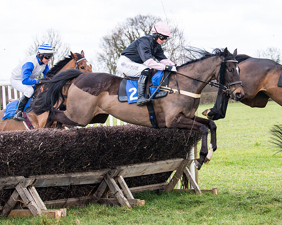 Race 2 - PPORA Club members Veteran Horse  (47 of 119)
