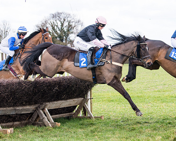 Race 2 - PPORA Club members Veteran Horse  (48 of 119)