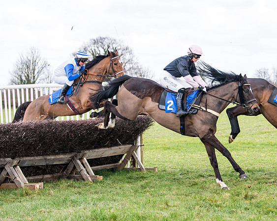 Race 2 - PPORA Club members Veteran Horse  (49 of 119)