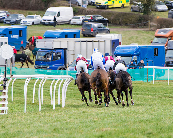 Race 2 - PPORA Club members Veteran Horse  (50 of 119)
