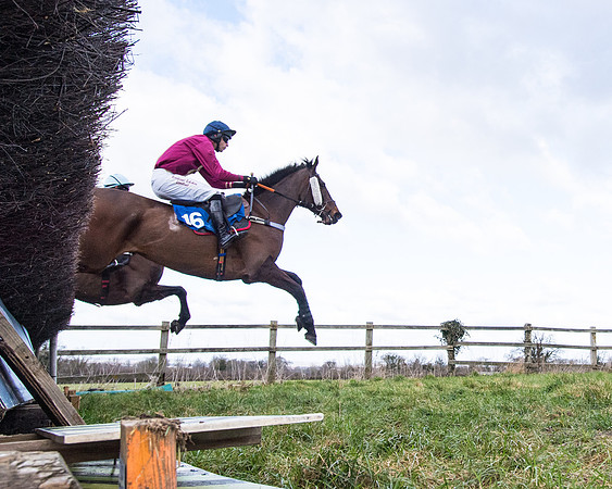Race 2 - PPORA Club members Veteran Horse  (52 of 119)