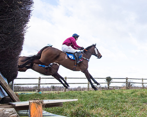 Race 2 - PPORA Club members Veteran Horse  (53 of 119)
