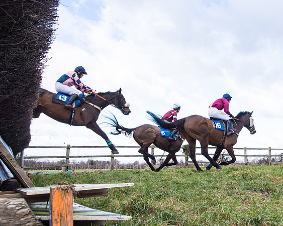 Race 2 - PPORA Club members Veteran Horse  (54 of 119)