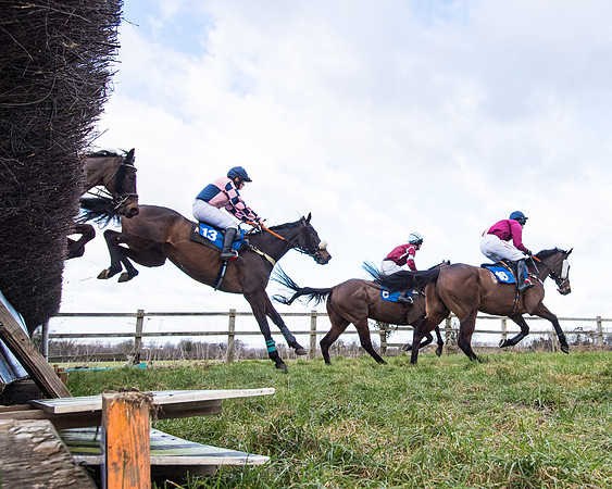Race 2 - PPORA Club members Veteran Horse  (55 of 119)