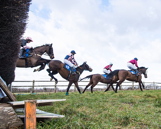 Race 2 - PPORA Club members Veteran Horse  (56 of 119)