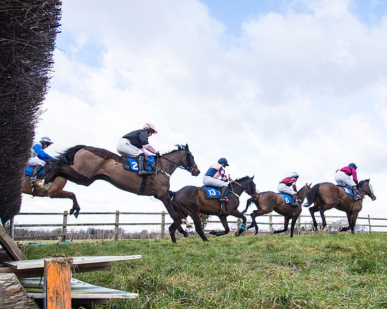 Race 2 - PPORA Club members Veteran Horse  (57 of 119)