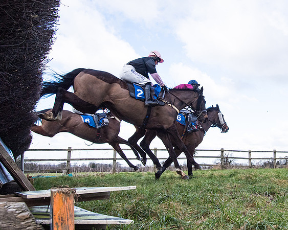 Race 2 - PPORA Club members Veteran Horse  (59 of 119)