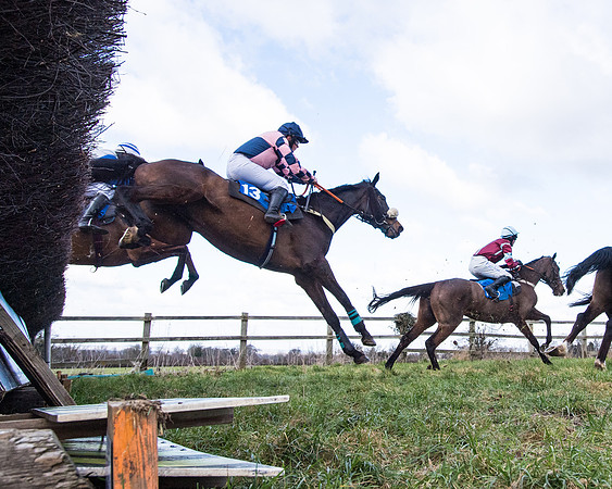 Race 2 - PPORA Club members Veteran Horse  (60 of 119)