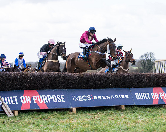 Race 2 - PPORA Club members Veteran Horse  (63 of 119)