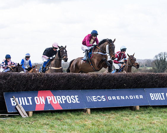 Race 2 - PPORA Club members Veteran Horse  (62 of 119)