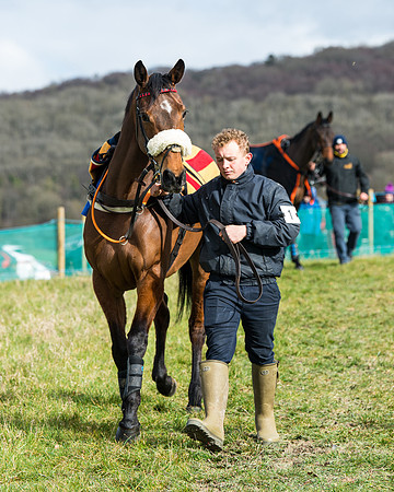 Race 3 - Maiden Conditions (3 of 137)
