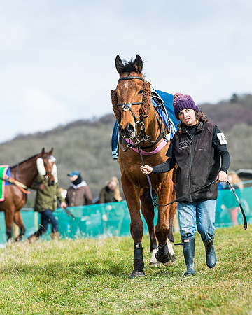 Race 3 - Maiden Conditions (9 of 137)