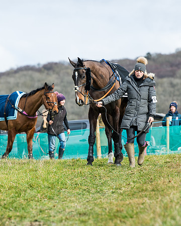 Race 3 - Maiden Conditions (7 of 137)