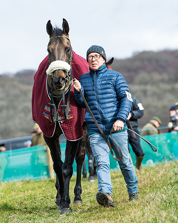 Race 3 - Maiden Conditions (14 of 137)