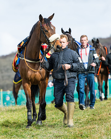 Race 3 - Maiden Conditions (16 of 137)