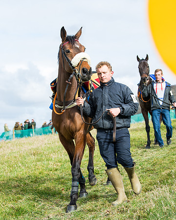 Race 3 - Maiden Conditions (17 of 137)