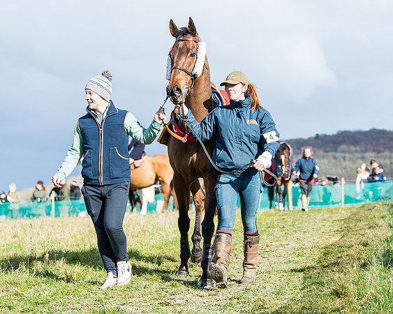 Race 4 - PPORA Novice Riders  (29 of 197)