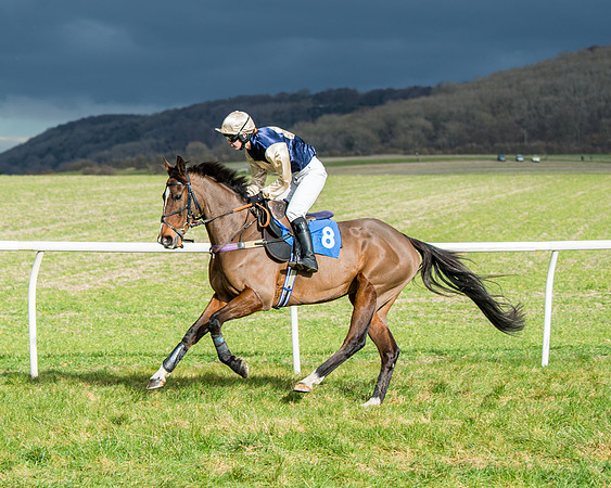 Race 4 - PPORA Novice Riders  (32 of 197)