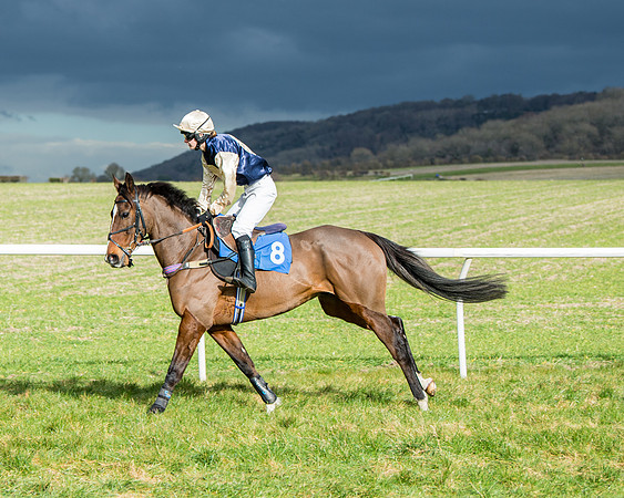Race 4 - PPORA Novice Riders  (33 of 197)